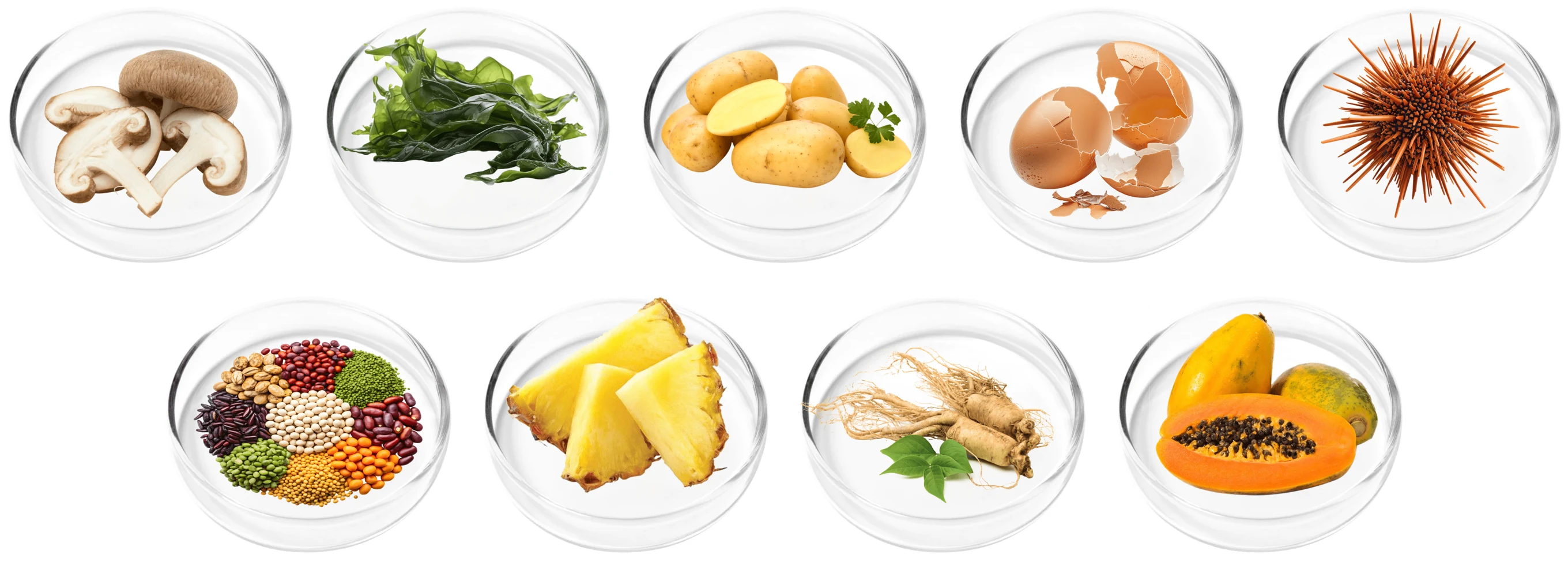 VertiAid ingredients