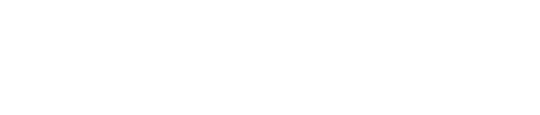 VertiAid logo